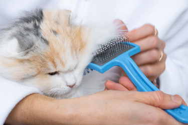 Similar image 22436487