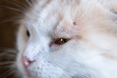 Similar image 22436488