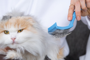 Similar image 22436496