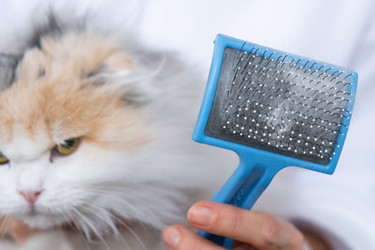 Similar image 22436499