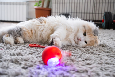 Similar image 22436502