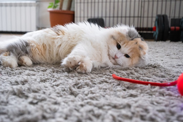 Similar image 22436505