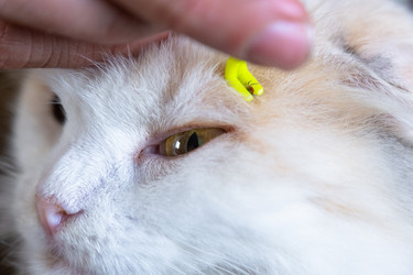 Similar image 22436509