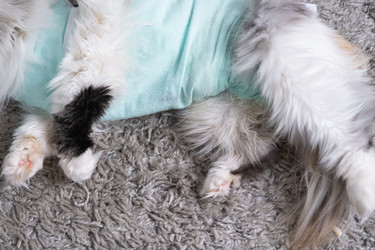 Similar image 22436511