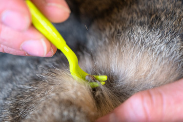 Similar image 22436517