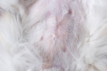 Similar image 22436518