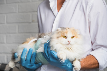 Similar image 22436519