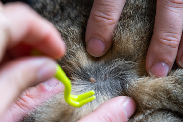 Similar image 22436520