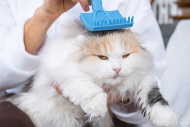 Similar image 22436521