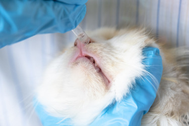 Similar image 22443056