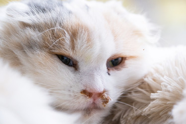 Similar image 22443058