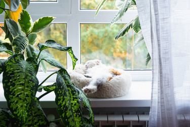 Similar image 22443063