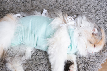 Similar image 22443065