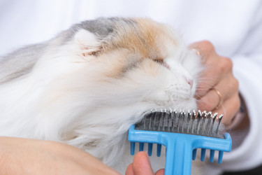 Similar image 22443066