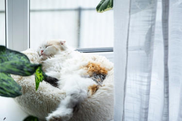 Similar image 22443069