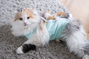 Similar image 22443070