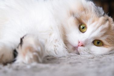 Similar image 22443073