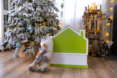 Similar image 22443074