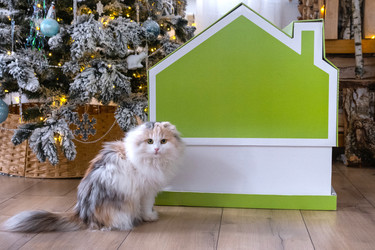 Similar image 22443078