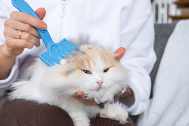 Similar image 22443079