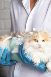 Similar image 22443080