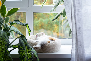 Similar image 22443081