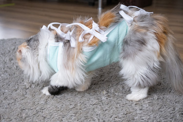 Similar image 22443088