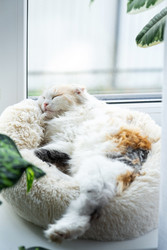 Similar image 22443090