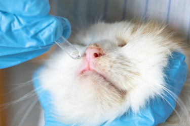 Similar image 22443091