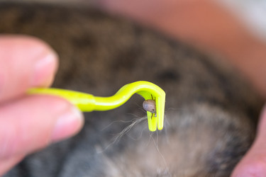 Similar image 22443093