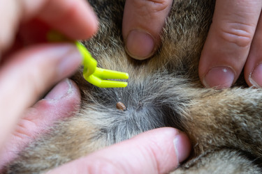 Similar image 22443097