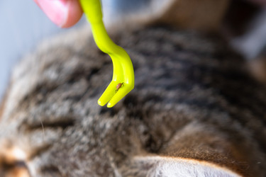 Similar image 22443098