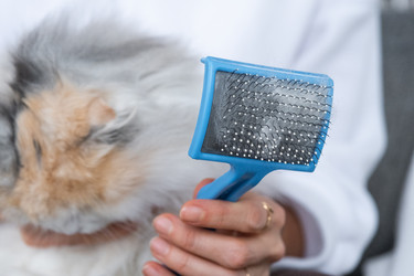 Similar image 22443111