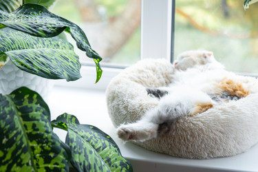 Similar image 22443112