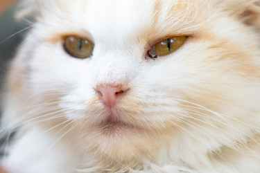 Similar image 22443113