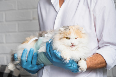 Similar image 22436525