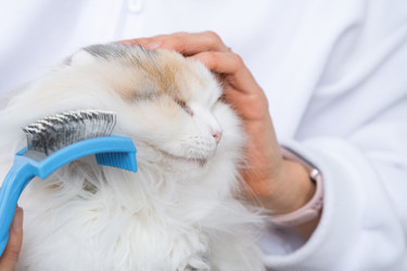 Similar image 22436526