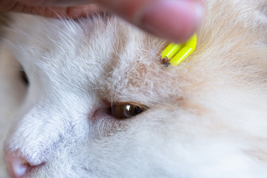 Similar image 22436529