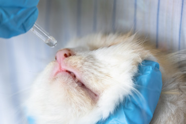 Similar image 22436532