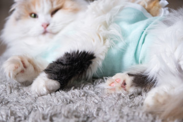 Similar image 22436533