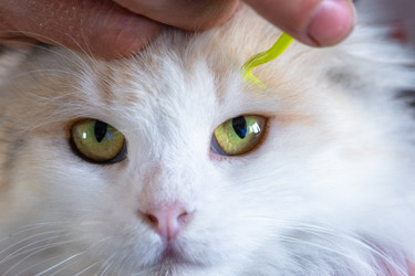 Similar image 22436534