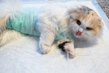 Similar image 22436536