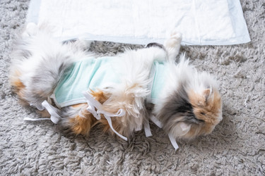 Similar image 22436539