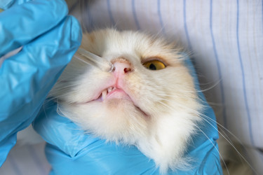 Similar image 22436542