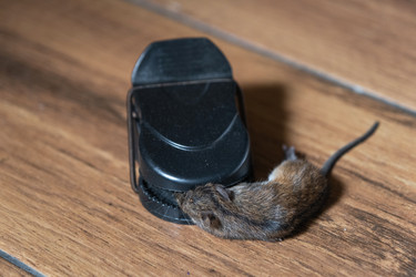 Similar image 22436543