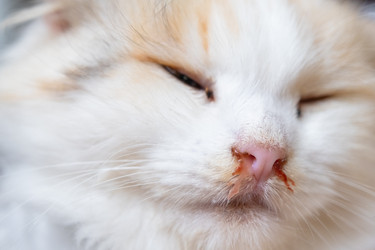 Similar image 22436544