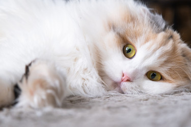 Similar image 22436559