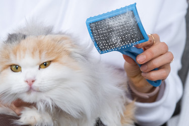 Similar image 22436560