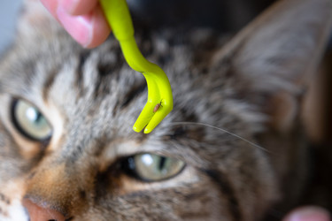 Similar image 22436565