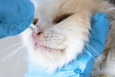 Similar image 22436566